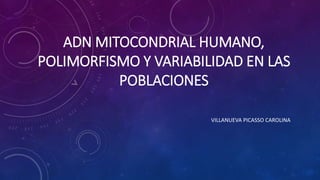 ADN MITOCONDRIAL HUMANO,
POLIMORFISMO Y VARIABILIDAD EN LAS
POBLACIONES
VILLANUEVA PICASSO CAROLINA
 