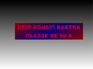 CEIP AGUSTÍ BARTRA CLASSE DE 5è A 