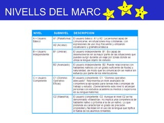 NIVELLS DEL MARC 