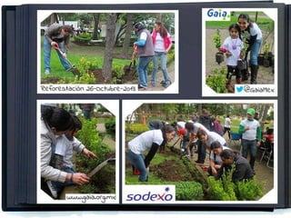 LOGROS 2013
GAIA, AC
 