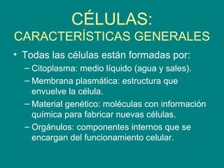 CÉLULAS:
CARACTERÍSTICAS GENERALES
• Todas las células están formadas por:
– Citoplasma: medio líquido (agua y sales).
– Membrana plasmática: estructura que
envuelve la célula.
– Material genético: moléculas con información
química para fabricar nuevas células.
– Orgánulos: componentes internos que se
encargan del funcionamiento celular.
 