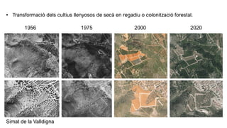 Presentació de la investigació sobre els canvis d’usos del sòl i abandonament agrícola a la comarca de la Safor (València)