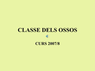 CLASSE DELS OSSOS CURS 2007/8 