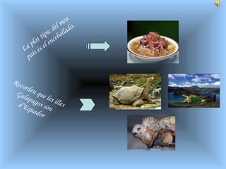 La plat típic del meu país és el encebollado. Recordeu que les illes Galapagos són  d’Equador 