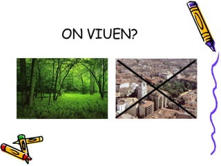 ON VIUEN? 