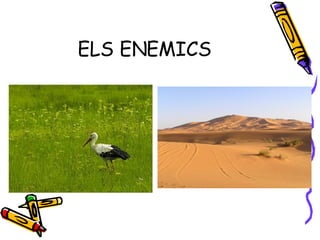 ELS ENEMICS 