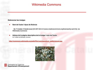 Wikimedia Commons



Referenciar les imatges

 ●    Nom de l'autor i tipus de llicència

       By T.Voekler (Treball propi) [CC-BY-SA-3.0 (www.creativecommons.org/licenses/by-sa/3.0)], via
      Wikimedia Commons

 ●    Adreça de la pàgina descriptiva de la imatge i nom de l'autor
      De T.Voekler via Wikimedia Commons



 http://commons.wikimedia.org/wiki/File:Leontopodium_palibinianum.jpg
 