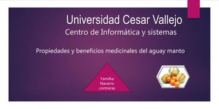Propiedades y beneficios medicinales del aguay manto
Universidad Cesar Vallejo
Centro de Informática y sistemas
Yamilka
Navarro
contreras
 
