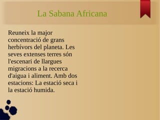 La Sabana Africana
Reuneix la major
concentració de grans
herbívors del planeta. Les
seves extenses terres són
l'escenari de llargues
migracions a la recerca
d'aigua i aliment. Amb dos
estacions: La estació seca i
la estació humida.
 