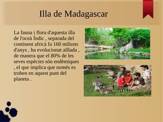 Illa de Madagascar
La fauna i flora d'aquesta illa
de l'oceà Índic , separada del
continent africà fa 160 milions
d'anys , ha evolucionat aïllada ,
de manera que el 80% de les
seves espècies són endèmiques
, el que implica que només es
troben en aquest punt del
planeta .
 