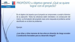 PROPÓSITO u objetivo general ¿Qué se quiere
lograr con el proyecto?
Es el objetivo de impacto que el proyecto se compromete a cumplir al término
de su ejecución. Todos los esfuerzos están orientados a la consecución del
mismo. La formulación del propósito nace como respuesta al problema central
identificado en el árbol de problemas.
Ejemplo
¿Las niñas y niños menores de tres años en situación de riesgo acceden
a condiciones favorables para su desarrollo integral?
 