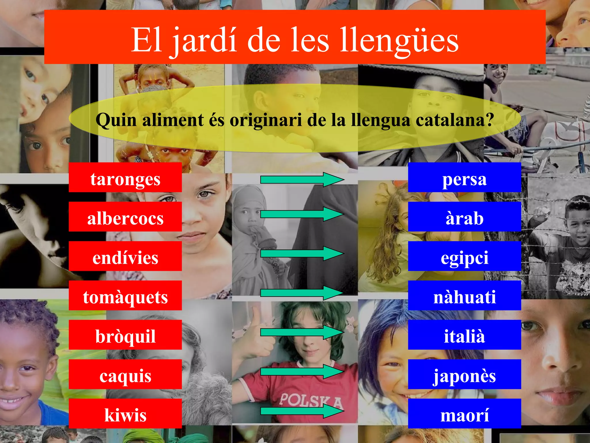 El jardí de les llengües taronges persa albercocs endívies tomàquets bròquil caquis kiwis Quin aliment és originari de la llengua catalana? àrab egipci nàhuati japonès italià maorí 