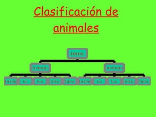 Clasificación de animales 