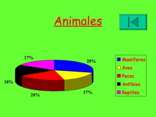 Animales 