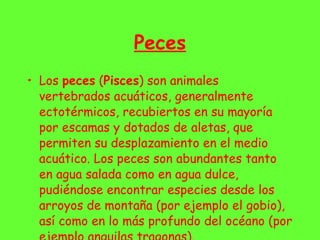 Peces Los  peces  ( Pisces ) son animales vertebrados acuáticos, generalmente ectotérmicos, recubiertos en su mayoría por escamas y dotados de aletas, que permiten su desplazamiento en el medio acuático. Los peces son abundantes tanto en agua salada como en agua dulce, pudiéndose encontrar especies desde los arroyos de montaña (por ejemplo el gobio), así como en lo más profundo del océano (por ejemplo anguilas tragonas). 