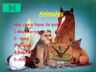 Animales Hay cinco tipos de animales: 1-Mamíferos 2- Aves 3- Peces 4-Reptiles 5-Anfibios 