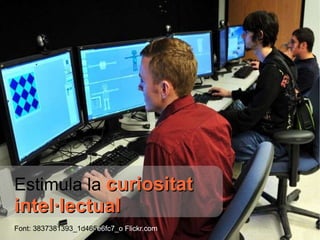 Estimula la   curiositat intel·lectual Font:  3837381393_1d465 e6fc7_o Flickr.com 