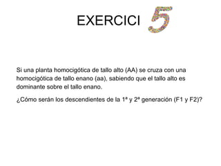 EXERCICI


Si una planta homocigótica de tallo alto (AA) se cruza con una
homocigótica de tallo enano (aa), sabiendo que el tallo alto es
dominante sobre el tallo enano.

¿Cómo serán los descendientes de la 1ª y 2ª generación (F1 y F2)?
 