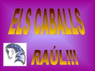 RAÚL!!! ELS CABALLS 