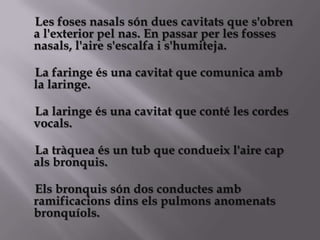 Les foses nasals són dues cavitats que s'obren
a l'exterior pel nas. En passar per les fosses
nasals, l'aire s'escalfa i s'humiteja.

La faringe és una cavitat que comunica amb
la laringe.

La laringe és una cavitat que conté les cordes
vocals.

La tràquea és un tub que condueix l'aire cap
als bronquis.

Els bronquis són dos conductes amb
ramificacions dins els pulmons anomenats
bronquíols.
 