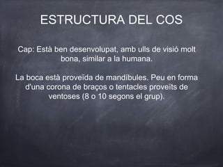 ESTRUCTURA DEL COS

Cap: Està ben desenvolupat, amb ulls de visió molt
           bona, similar a la humana.

La boca està proveïda de mandíbules. Peu en forma
   d'una corona de braços o tentacles proveïts de
          ventoses (8 o 10 segons el grup).
 