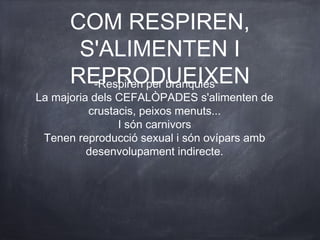 COM RESPIREN,
       S'ALIMENTEN I
      REPRODUEIXEN
        -Respiren per branquies
La majoria dels CEFALÒPADES s'alimenten de
          crustacis, peixos menuts...
                I són carnivors
 Tenen reproducció sexual i són ovípars amb
          desenvolupament indirecte.
 
