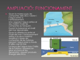  Quan la marea puja, les
comportes dels dics s’obren i
l’aigua entra a
l’embassament.
Una vegada l’aigua arriba al
seu màxim nivell, les
comportes es tanquen.
Durant la baixamar el nivell
del mar descendeix.
Quan la diferència entre el
nivell del mar i l’embassament
arriba a la seva màxima
amplitud s’obren les
comportes de les turbines
perquè l’aigua passi a través
d’elles cap al mar.
La força de l’aigua mou l’hèlix
de la turbina i aquesta en
girar acciona el seu
generador i aquest produeix
energia elèctrica.
 