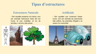 Estructures Naturals
- Són aquelles que construeix l’ésser
humà, com per exemple les estructures
dels edificis, les piràmides d’Egipte o el
xassís d’un automòbil.
- Són aquelles existents a la natura, com
per exemple l’estructura òssia del cos
humà, el rusc d’abelles, el niu de
termites, o el tronc dels arbres.
Artificials
Tipus d’estructures
 