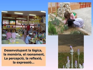 Desenvolupant la lògica,
la memòria, el raonament,
 La percepció, la reflexió,
      la expressió...
 