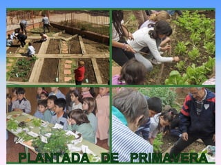 Presentació 13 14 llesta x web