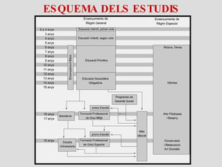 ESQUEMA DELS ESTUDIS 