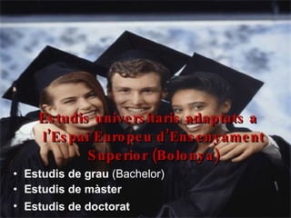 Estudis universitaris adaptats a l’Espai Europeu  d’Ensenyament Superior (Bolonya) Estudis de grau  (Bachelor) Estudis de màster   Estudis de doctorat   