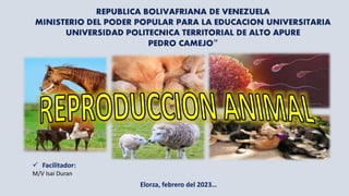  Facilitador:
M/V Isai Duran
Elorza, febrero del 2023…
 