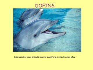 DOFINS Són uns dels pocs animals marins mamífers, i són de color blau. 