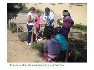 Escoltem atents les instruccions de la Carmen... 