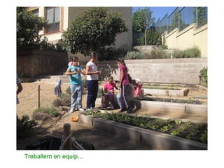 Treballem en equip... 