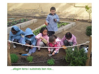 ...afegim terra i substrats ben rics... 