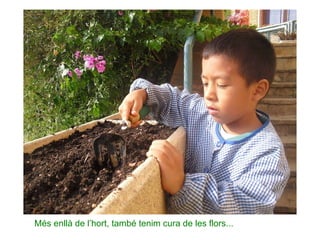 Més enllà de l’hort, també tenim cura de les flors... 