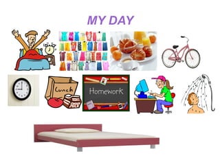 MY DAY
