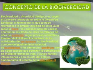 TIPOS DE BIODIVERSIDAD