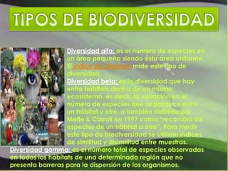 DIVERSIDAD BETA