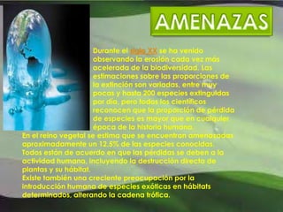 IMPORTANCIA PARA EL HOMBRE