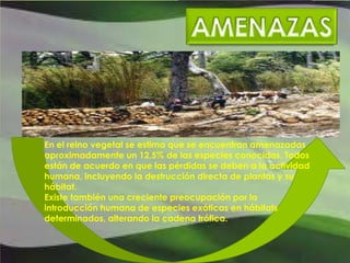 AMENAZAS