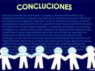 CONCLUCIONESCONCEPTO DE LA BIODIVERCIDADBiodiversidad o diversidad biológica es, según el Convenio Internacional sobre la Diversidad Biológica, el término por el que se hace referencia a la amplia variedad de seres vivos sobre la Tierra y los patrones naturales que la conforman, resultado de miles de millones de años de evolución según procesos naturales y también de la influencia creciente de las actividades del ser humano. La biodiversidad comprende igualmente la variedad deecosistemas y las diferencias genéticas dentro de cada especie que permiten la combinación de múltiples formas de vida, y cuyas mutuas interacciones y con el resto del entorno fundamentan el sustento de la vida sobre el planeta