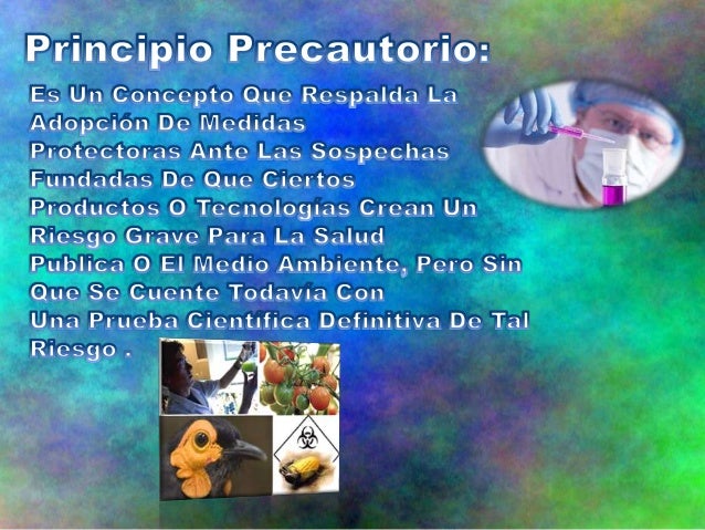 Resultado de imagen para La técnica, la sociedad del riesgo y el principio precautorio