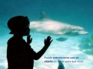 Puede entretenerse con un
objeto sin saber para qué sirve.