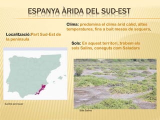 ESPANYA ÀRIDA DEL SUD-EST
                                Clima: predomina el clima àrid càlid, altes
                                temperatures, fins a buit mesos de sequera.
 Localització:Part Sud-Est de
 la península
                                  Sols: En aquest territori, trobem els
                                  sols Salins, coneguts com Saladars




Sud-Est peninsular

                                      Sòls Salins
 