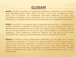 GLOSARI
   Xeròfil : Xeròfil en ecologia, és l'organisme, població o comunitat que viu en medis
    secs. Etimològicament, xeròfil deriva del grec, i vol dir que "li agraden els llocs
    secs". En la pràctica, els organismes presenten adaptació als llocs secs
    (facultativa o estricta) i potser no podrien viure en llocs més humits per raó, per
    exemple, de la competència que els farien altres plantes adaptades a llocs humits.

   Piròfit: Un piròfit és una planta que és afavorida pels incendis. L'estratègia dels
    piròfits consisteix a aprofitar la destrucció de la resta de vegetals per brotar o
    germinar sense competència per la llum, per l'aigua i pels els nutrients - tant els
    que ja eren presents en el sòl com els que eren retinguts a la biomassa de la
    vegetació i s'han alliberat en forma de cendres. Per això han de tenir parts
    resistents al foc, capaces de desenvolupar-se de nou després de l'incendi.

   Romaní: el romaní o romer (Rosmarinus officinalis) és una planta de la família
    Lamiaceae o lamiàcies. El romaní és un arbust mediterrani molt conegut gràcies
    als seus usos culinaris i medicinals. En català, el romaní o romer també es coneix
    amb el nom de beneit. El romer posseeix en les seves fulles glàndules que
    contenen olis essencials que li confereixen una fragant, fresca i forta olor, sobretot
    quan es matxuquen les seves fulles. És un condiment tradicional de la cuina
    mediterrània.
 