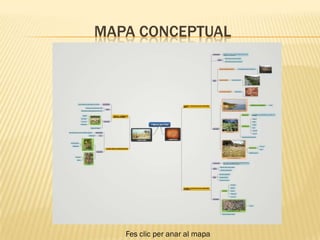 MAPA CONCEPTUAL




   Fes clic per anar al mapa
 