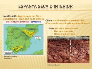 ESPANYA SECA D’INTERIOR
Localització: depressions del Ebre i
Guadalquivir i gran part de la Meseta
                                        Clima: continentalitzat mediterrani
                                        d’interior,hiverns freds, estius calorosos

                                            Sols: Marrons meridionals
                                                Marrons calcaris
                                                Rojos mediterranis




 Depresións del Ebre i
 Guadalquivir



                                          Sòl roig mediterrani
 